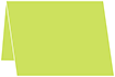 Citrus Green Place Card 3 1/2 x 5 - 25/Pk