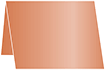 Copper Place Card 3 1/2 x 5 - 25/Pk