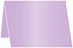 Violet Place Card 3 1/2 x 5 - 25/Pk