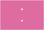 Raspberry Program Insert