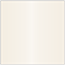 Pearlized Latte Square Flat Card 4 x 4 - 25/Pk