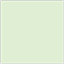 Green Tea Square Flat Card 4 3/4 x 4 3/4 - 25/Pk