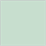 Tiffany Blue Square Flat Card 4 3/4 x 4 3/4