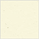 Milkweed Square Flat Card 5 1/4 x 5 1/4 - 25/Pk