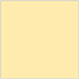 Sunflower Square Flat Card 5 1/4 x 5 1/4 - 25/Pk