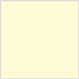 Sugared Lemon Square Flat Card 5 1/4 x 5 1/4 - 25/Pk