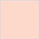 Ginger Square Flat Card 5 1/4 x 5 1/4 - 25/Pk