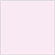 Lily Square Flat Card 5 1/4 x 5 1/4 - 25/Pk