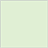 Green Tea Square Flat Card 5 1/4 x 5 1/4 - 25/Pk