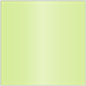 Sour Apple Square Flat Card 5 1/4 x 5 1/4 - 25/Pk