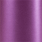 Purple Silk Square Flat Card 5 3/4 x 5 3/4 - 25/Pk