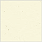 Milkweed Square Flat Card 6 x 6 - 25/Pk