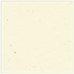 Milkweed Square Flat Card 6 x 6