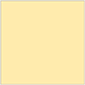 Sunflower Square Flat Card 6 x 6 - 25/Pk