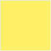 Factory Yellow Square Flat Card 6 x 6 - 25/Pk