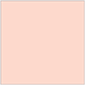 Ginger Square Flat Card 6 x 6 - 25/Pk