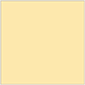 Peach Square Flat Card 6 x 6 - 25/Pk
