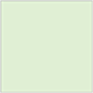Green Tea Square Flat Card 6 x 6 - 25/Pk