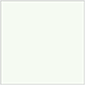 Mist Square Flat Card 6 x 6 - 25/Pk