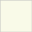 Spring Square Flat Card 6 x 6