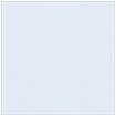 Blue Feather Square Flat Card 6 x 6 - 25/Pk