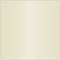 Champagne Square Flat Card 6 x 6 - 25/Pk