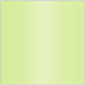 Sour Apple Square Flat Card 6 x 6 - 25/Pk