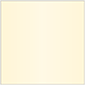 Gold Pearl Square Flat Card 6 x 6 - 25/Pk