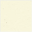 Milkweed Square Flat Card 6 1/2 x 6 1/2
