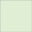 Green Tea Square Flat Card 6 1/2 x 6 1/2
