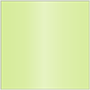 Sour Apple Square Flat Card 6 1/2 x 6 1/2 - 25/Pk