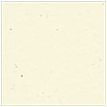 Milkweed Square Flat Card 6 1/4 x 6 1/4 - 25/Pk