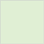 Green Tea Square Flat Card 6 1/4 x 6 1/4 - 25/Pk