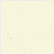 Milkweed Square Flat Card 6 3/4 x 6 3/4 - 25/Pk