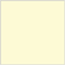 Sugared Lemon Square Flat Card 6 3/4 x 6 3/4 - 25/Pk