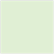 Green Tea Square Flat Card 6 3/4 x 6 3/4 - 25/Pk