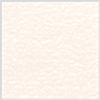Patina (Textured) Square Flat Card 6 3/4 x 6 3/4 - 25/Pk