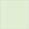 Green Tea Square Flat Card 7 x 7 - 25/Pk