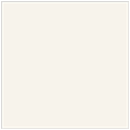 Beige Square Flat Card 7 1/4 x 7 1/4 - 25/Pk