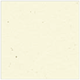 Milkweed Square Flat Card 7 1/4 x 7 1/4