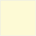 Sugared Lemon Square Flat Card 7 1/4 x 7 1/4
