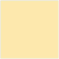 Peach Square Flat Card 7 1/4 x 7 1/4 - 25/Pk