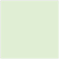 Green Tea Square Flat Card 7 1/4 x 7 1/4 - 25/Pk