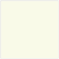 Spring Square Flat Card 7 1/4 x 7 1/4 - 25/Pk