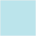 South Beach Square Flat Card 7 1/4 x 7 1/4 - 25/Pk