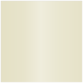 Champagne Square Flat Card 7 1/4 x 7 1/4