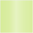 Sour Apple Square Flat Card 7 1/4 x 7 1/4 - 25/Pk