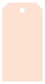 Peach Style A Tag (2 1/4 x 4) 10/Pk