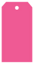 Raspberry Style A Tag (2 1/4 x 4) 10/Pk