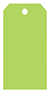 Citrus Green Style A Tag (2 1/4 x 4) 10/Pk